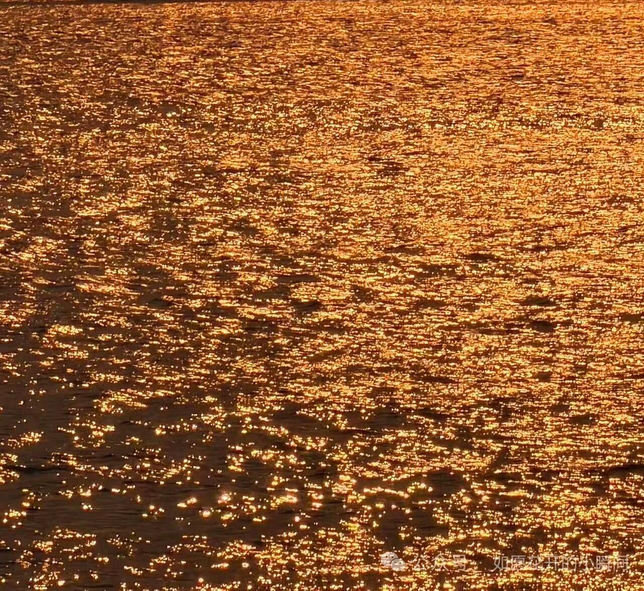 夕阳下的水面波光粼粼，金光闪闪。想起了那首诗。落霞与孤鹜齐飞，秋水共长天一色。