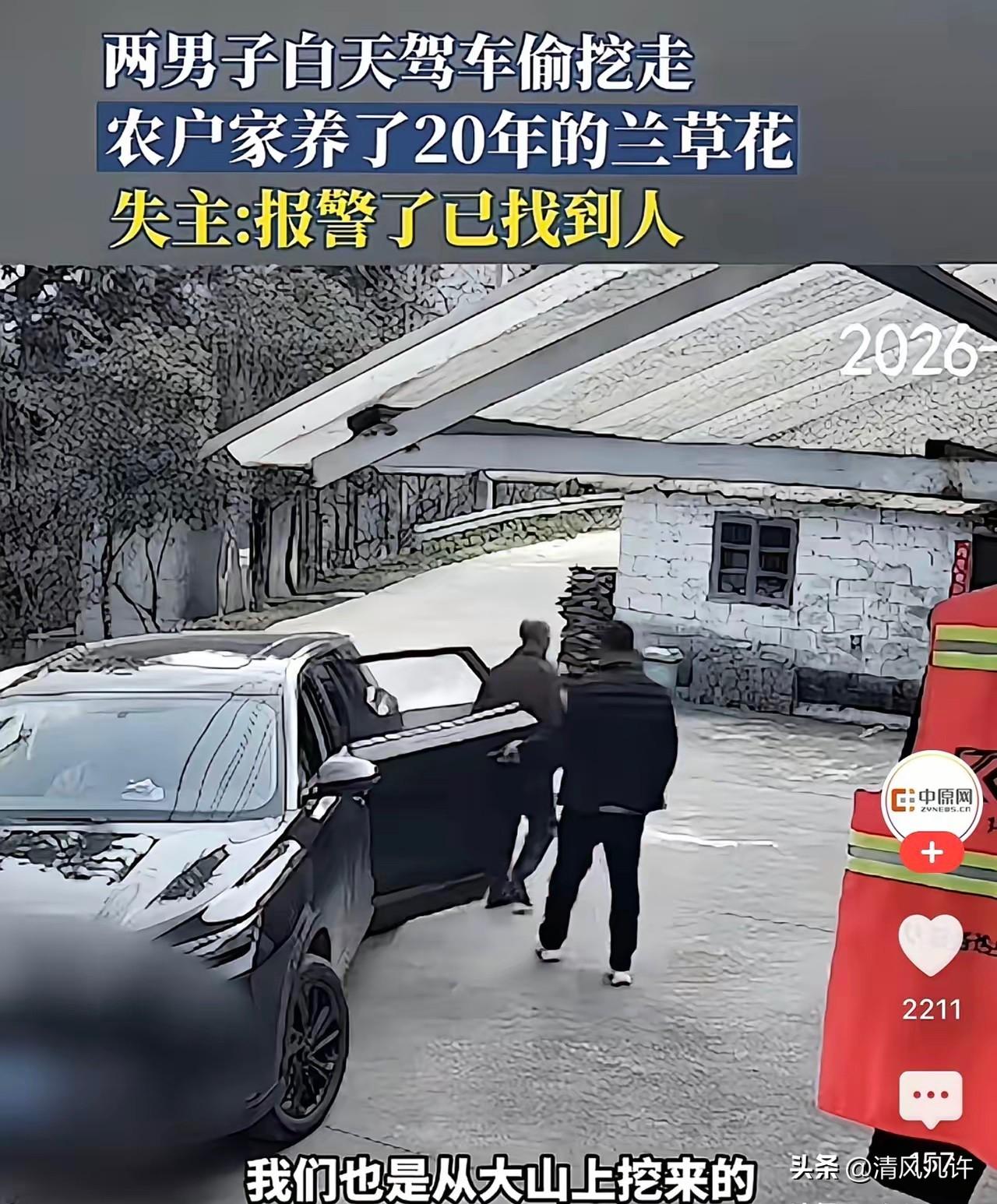 安徽六安，一对农妇20多年前在山上挖了一株兰草，结果两人干完活回家的时候却发现，