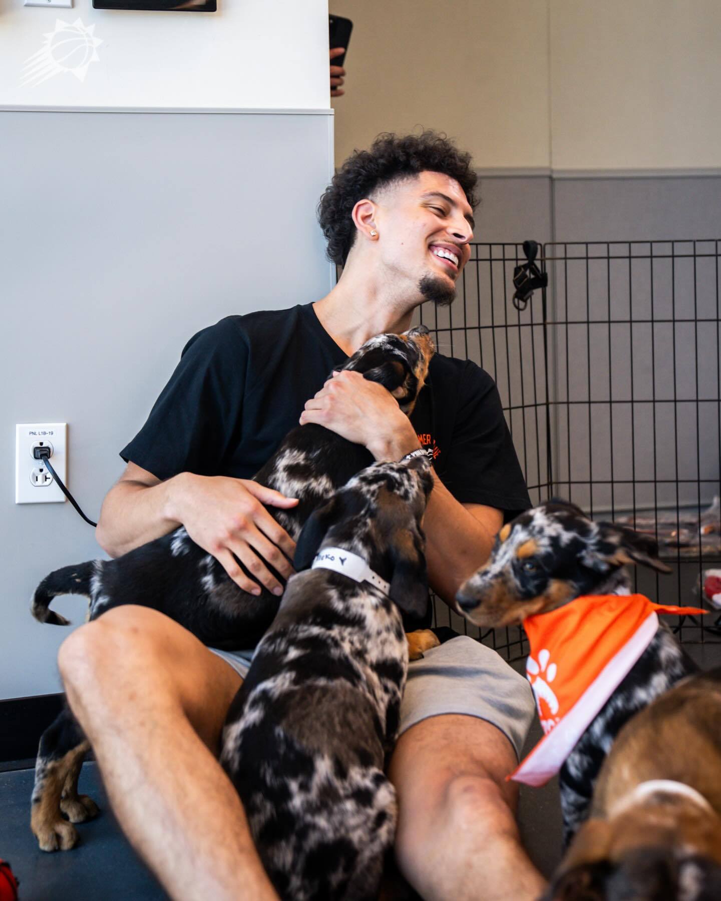 来给大家送点快乐🐶🐾菲尼克斯太阳 ｜旭日东升