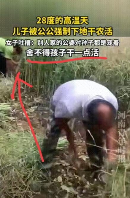 湖北一儿媳忍不住吐槽，28 度高温公公还强制孙子下地务农，别人家孩子生怕累着，自
