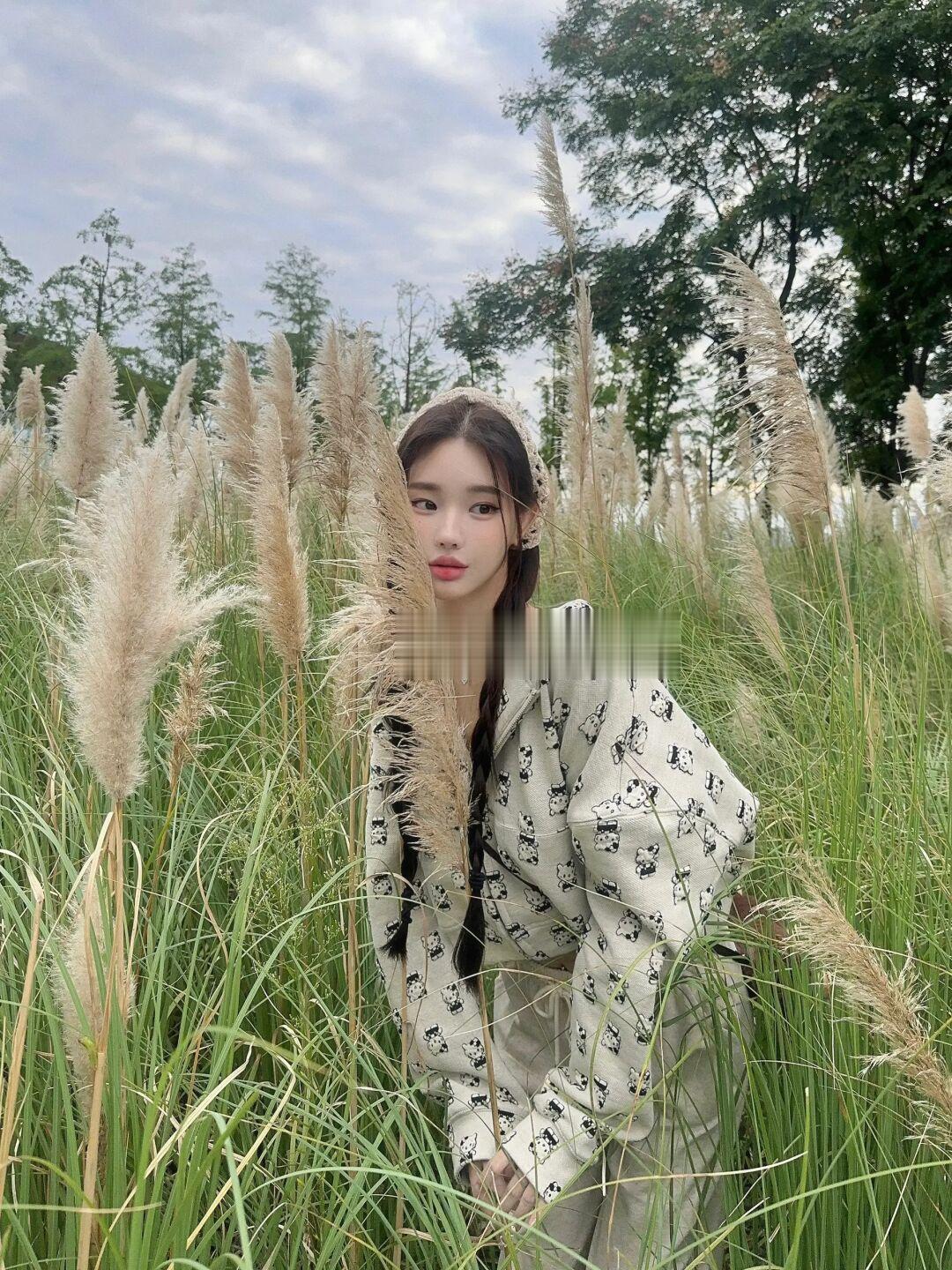 🌾秋天的芦苇太美了