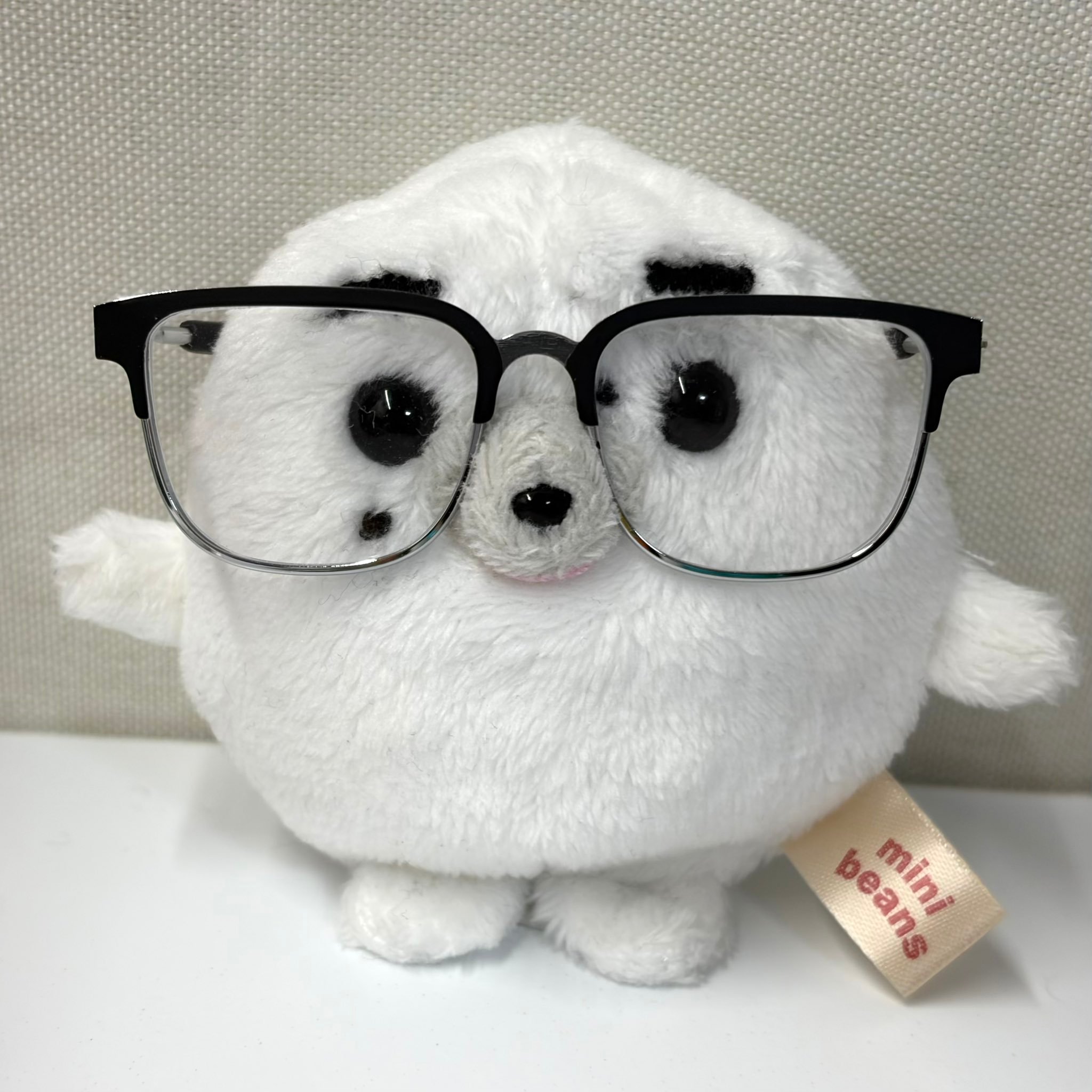 哎一古呀～豹豹昏🦭/1004ioo4IOO4 ​​​