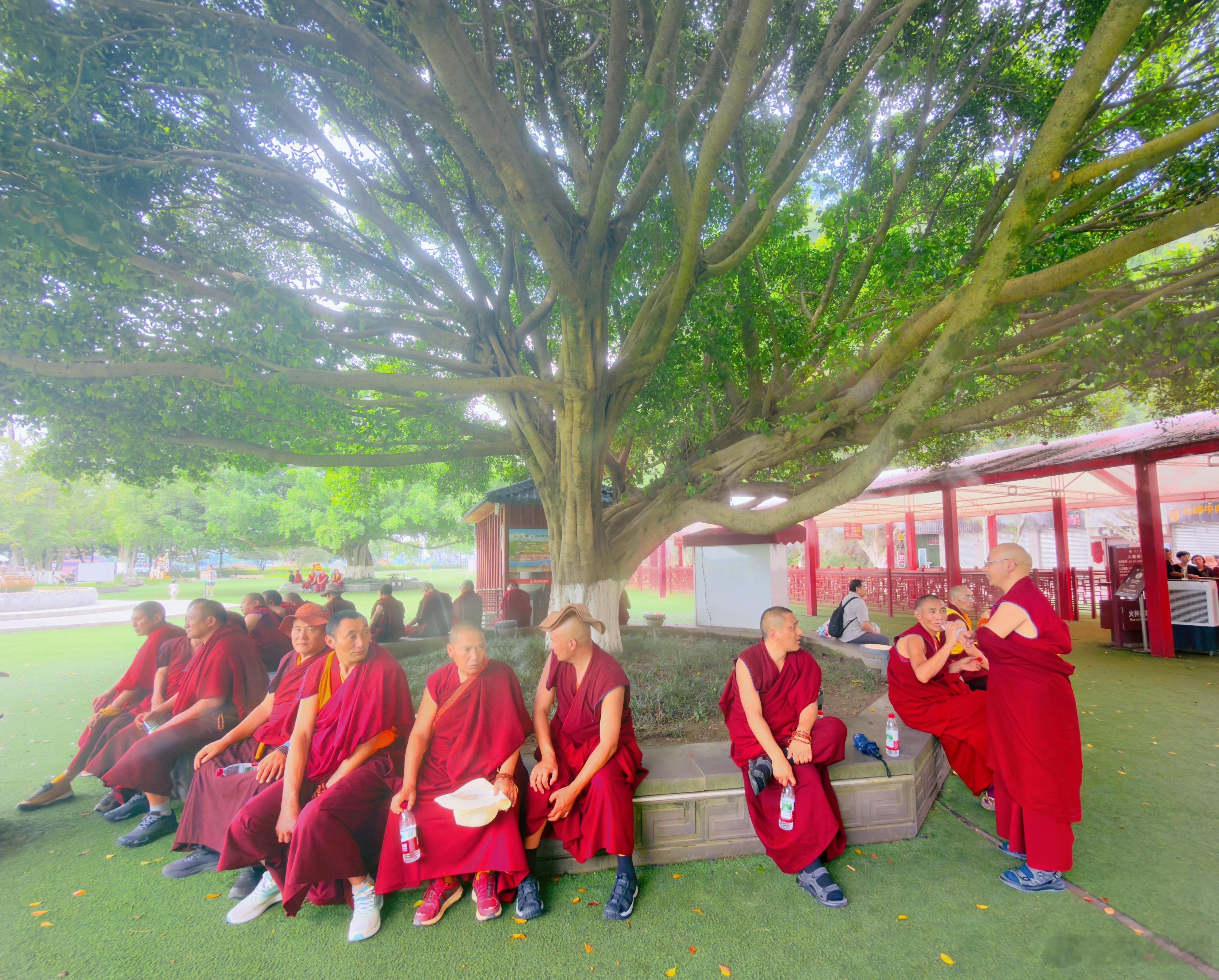 ཁོར་ཡུག་འདི་མཛེས་སྡུག་ལྡན་པ་ཞིག་ཡིན་ན་ཡང