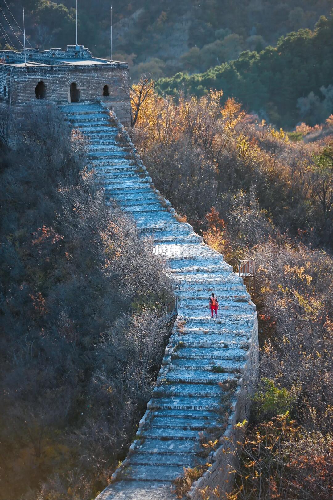 香屯村-龙泉峪🍁适合幼崽的残长城徒步