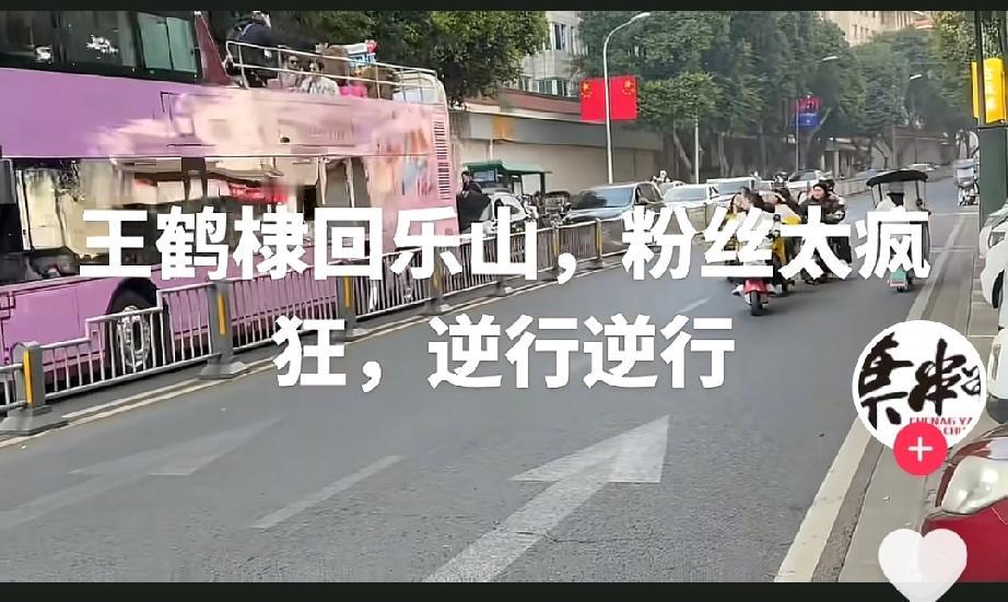 追星不要命！
王鹤棣回到了乐山，一群女子为了能多看王鹤棣几眼，骑着电瓶车逆行追车