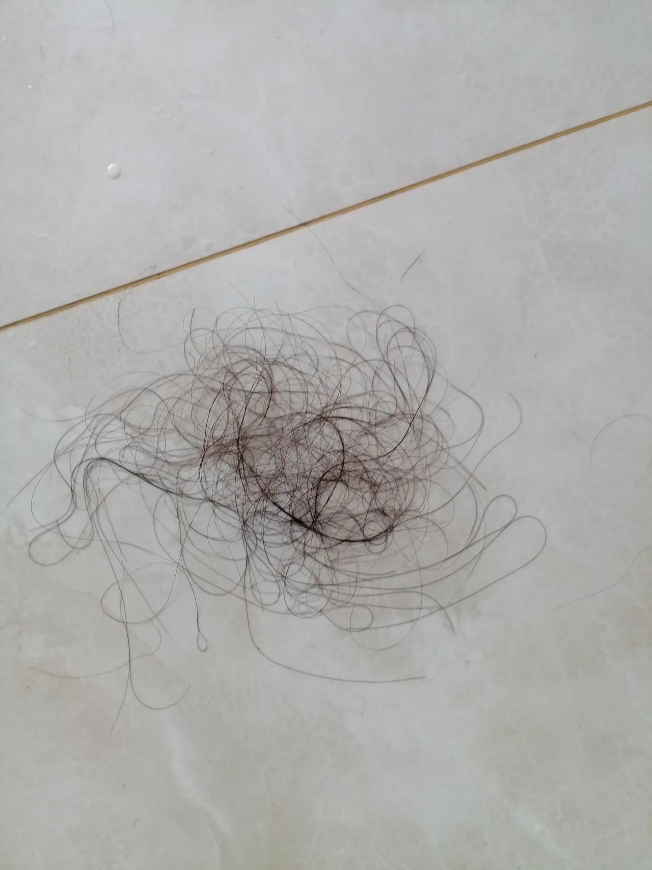 头发就是这样没的
洗头发掉一把，
吹头发掉一把，
梳头发掉一把，
发量只有20年