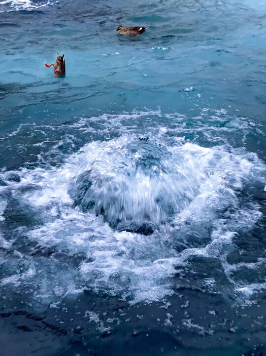 live😭拍不出老舍笔下济南冬天万分之一的美