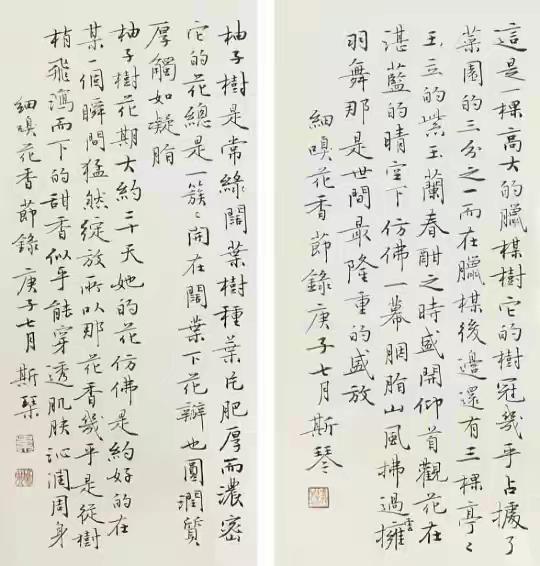 中书协换届未连任理事的她，书法作品那是相当的棒！