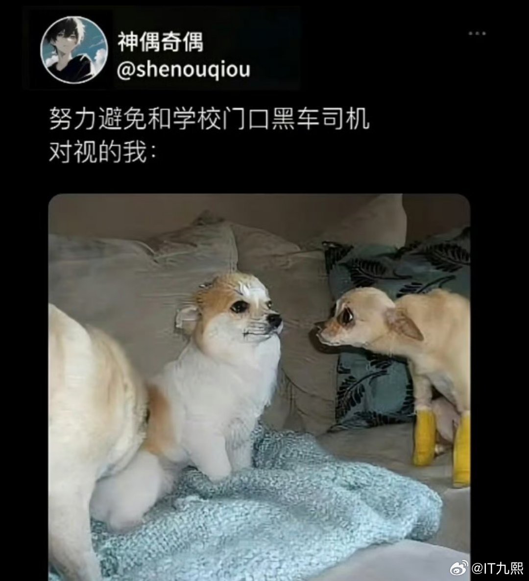 内容过于真实了，我每次出地铁站，面对黑车司机就是这个状态[允悲] ​ ​​​