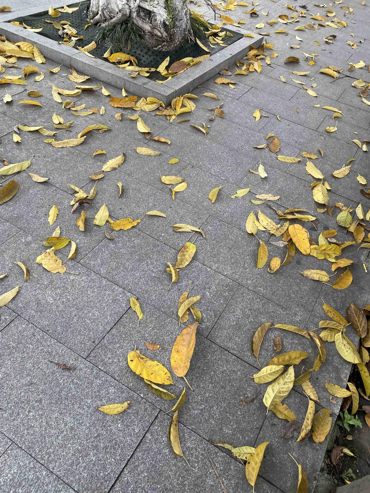 告诉你一个真相！
人可以不挣钱，也可以无知，更可以不学习，但一定要有存钱意识！