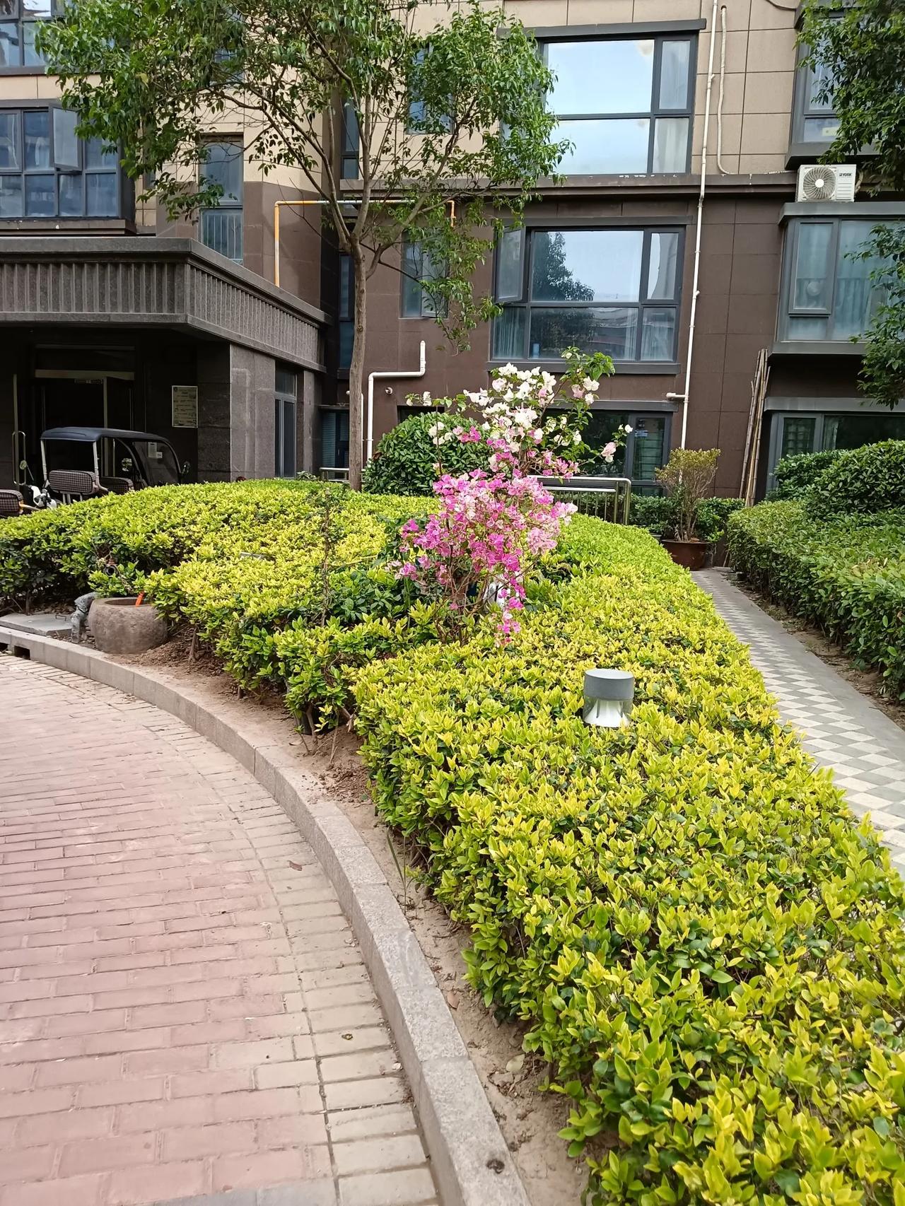 街拍分享商丘