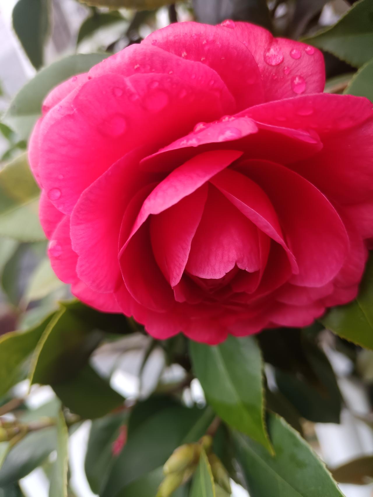 分享每天美好时光