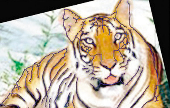 【美国衰落至今，不再是真老虎了，但也不是纸老虎】1958年9月，毛主席在同巴西记