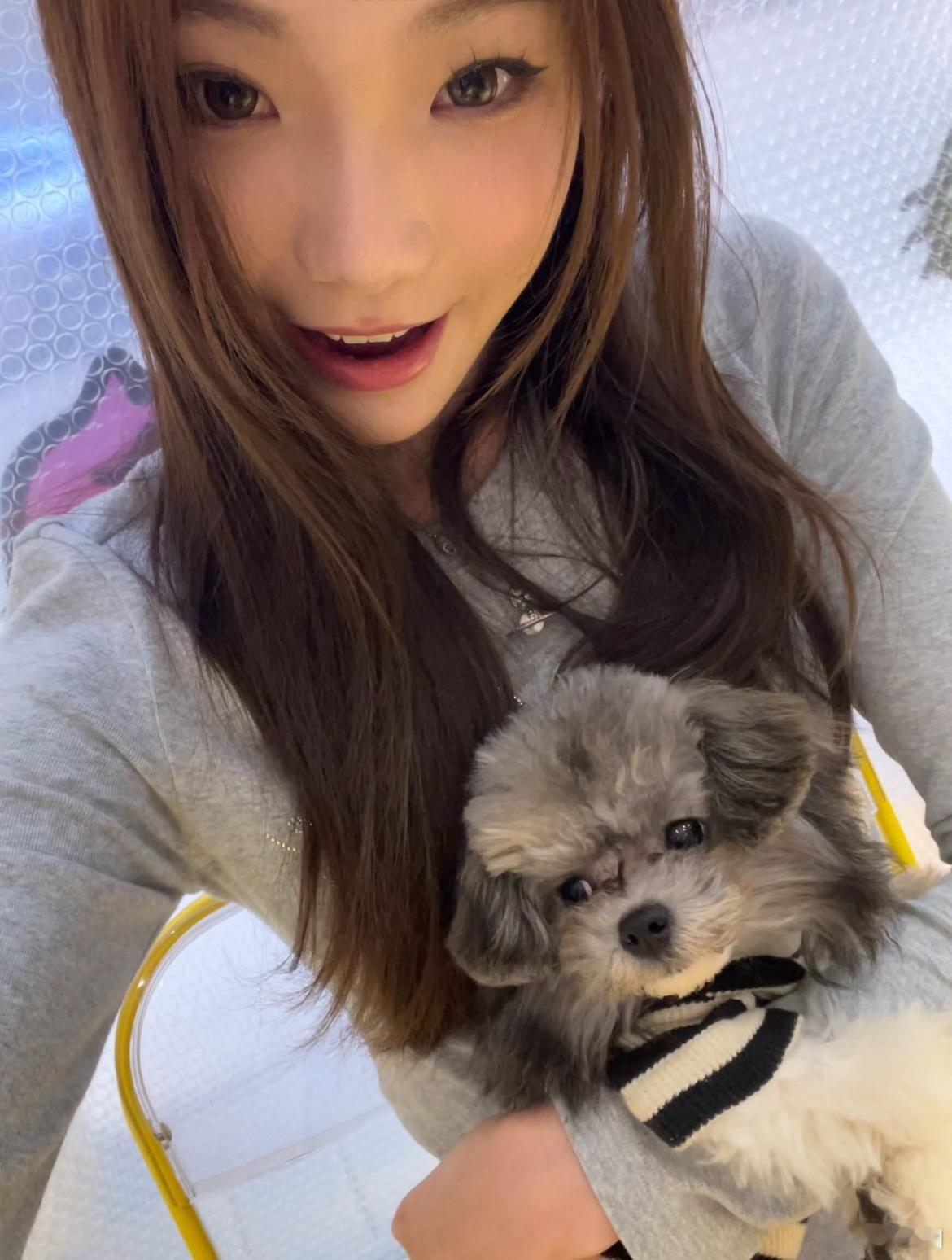 🐕🐈 