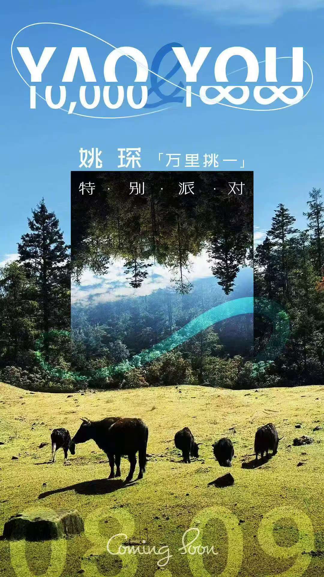 姚琛给内娱解锁演唱会新场地 原来大场地还有隐藏福利！虹馆的安保和动线规划超合理，