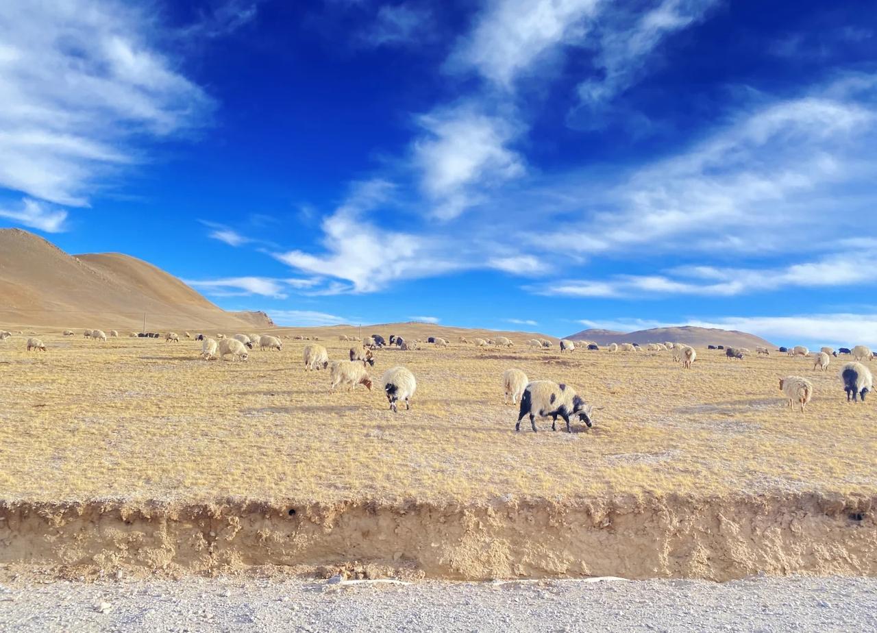 犹豫只会败笔 第四次进藏选择走青藏线
月底出发 希望挑战成功
一个去了还想去的地