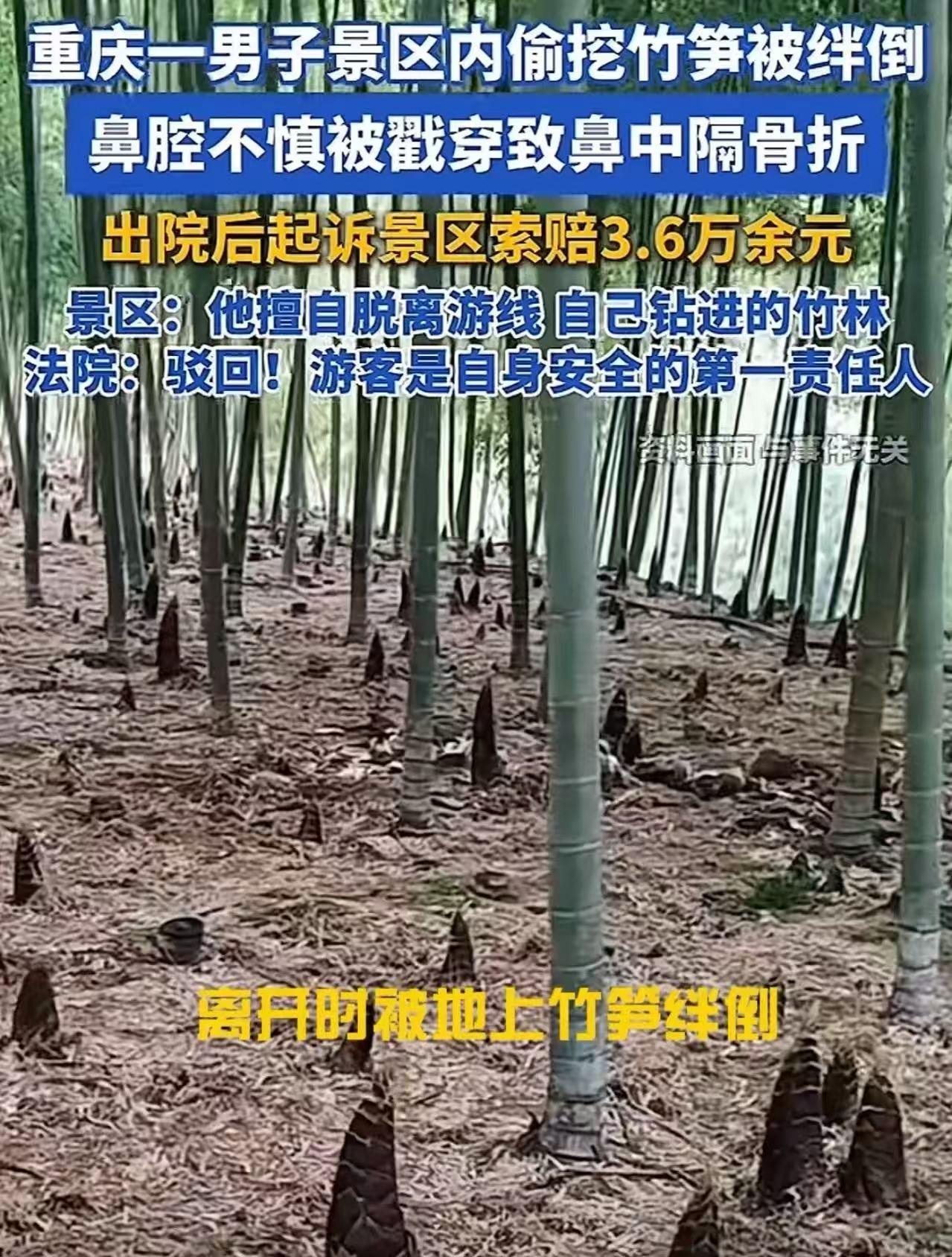 太奇葩了！重庆，男子在景区旅游时，偷跑进竹林挖笋，不慎绊倒，被竹笋戳穿鼻腔，花了
