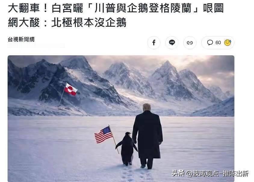白宫精修格陵兰岛打卡照，特朗普与企鹅同框岁月静好，唯独忘了北极从无企鹅这茬。怕不