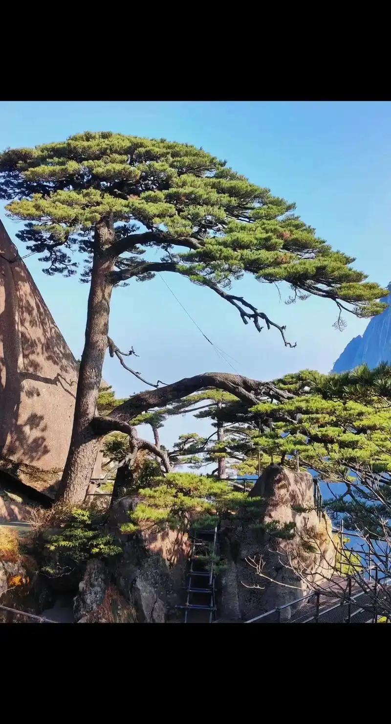 心安、身安、情安。
求温饱无忧，身体康健；求内心平静，不被世事烦扰；求三五知己，