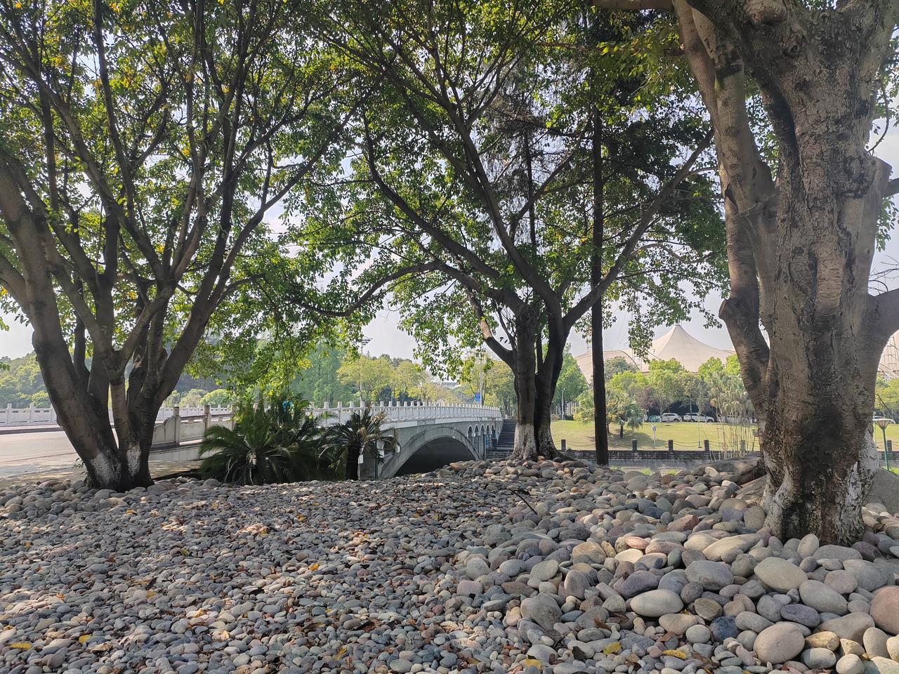 日本民众要求高市早苗向中国道歉，这事儿挺值得琢磨。3月29日上千日本民众在东京新