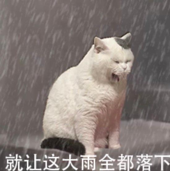 台风天连着被取消了两个航班……来时候好好的，回不去了 🤷 