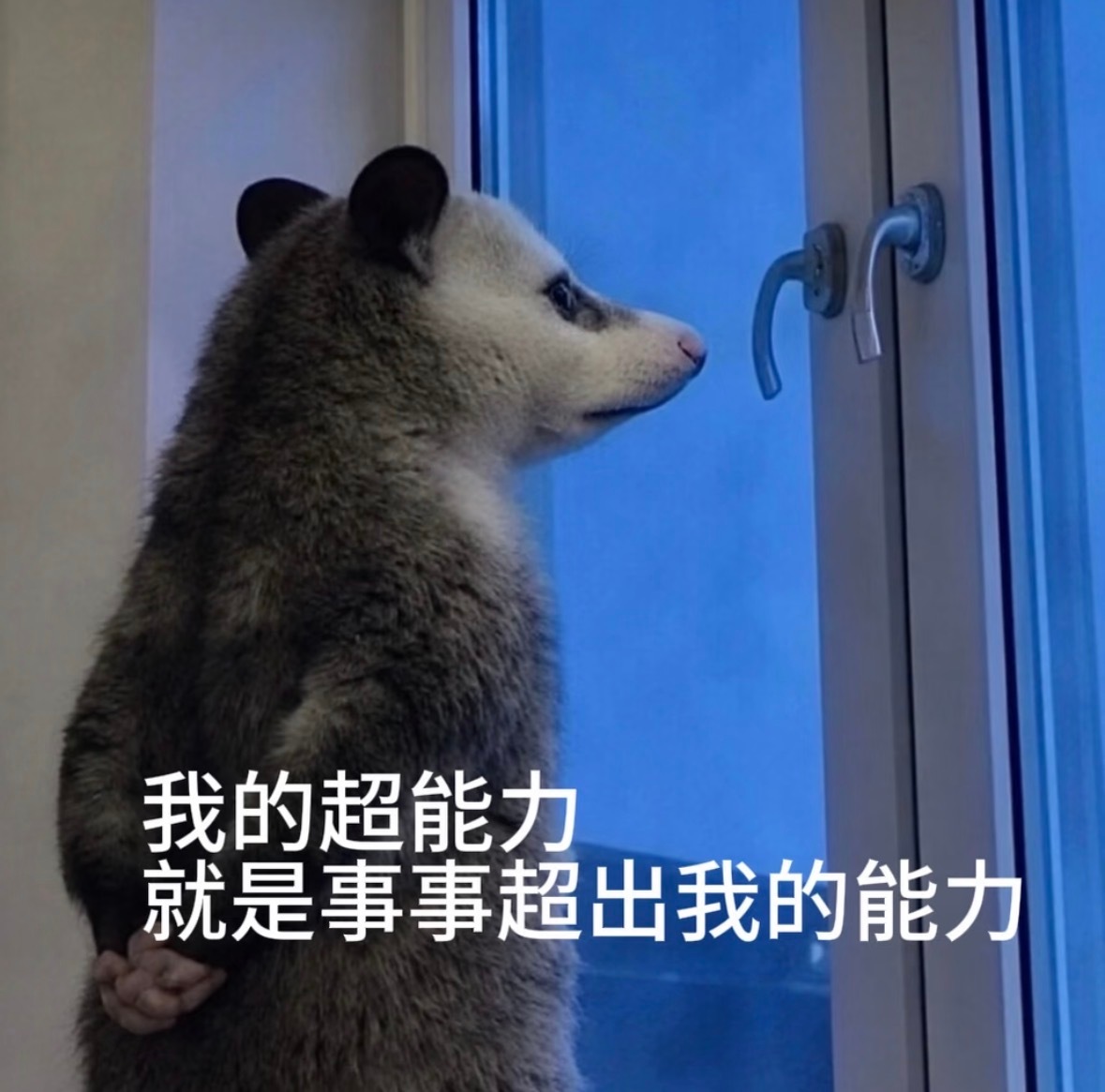 我的超能力，就是事事超出我的能力 
