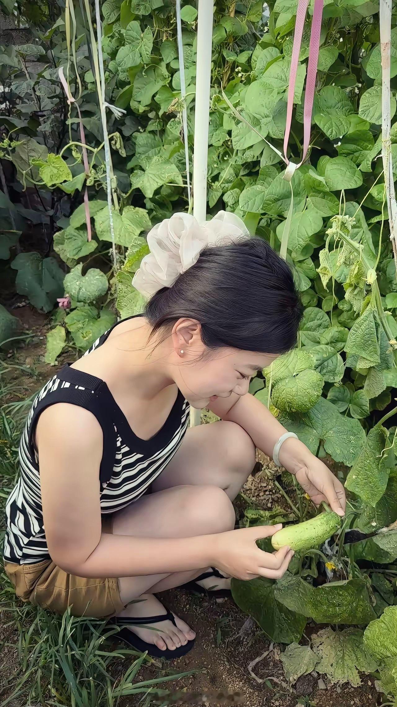 有搭子吗？我摘菜给你吃？ 