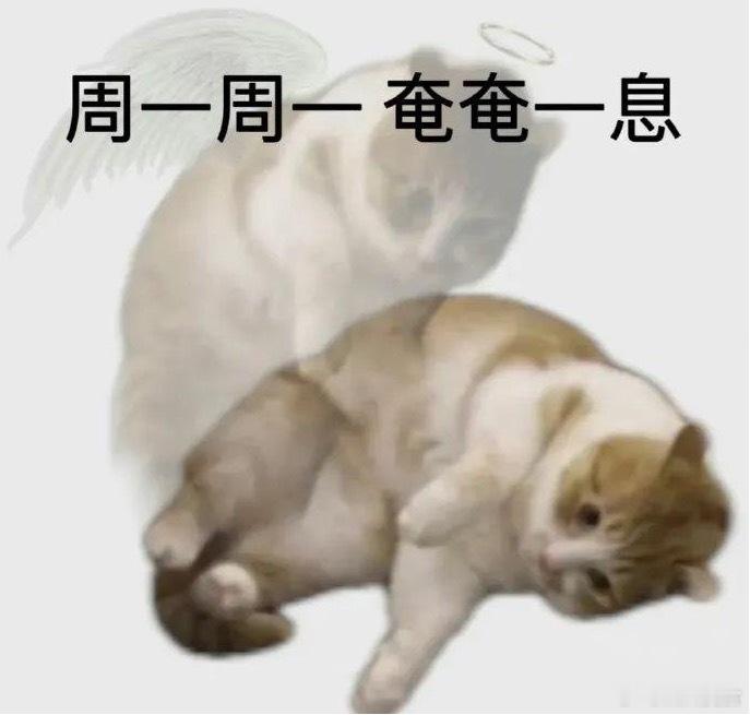 请不要问我，为啥今天的抽奖这么晚，看看键盘上的火星子和我的心情图片就知道了[跪了