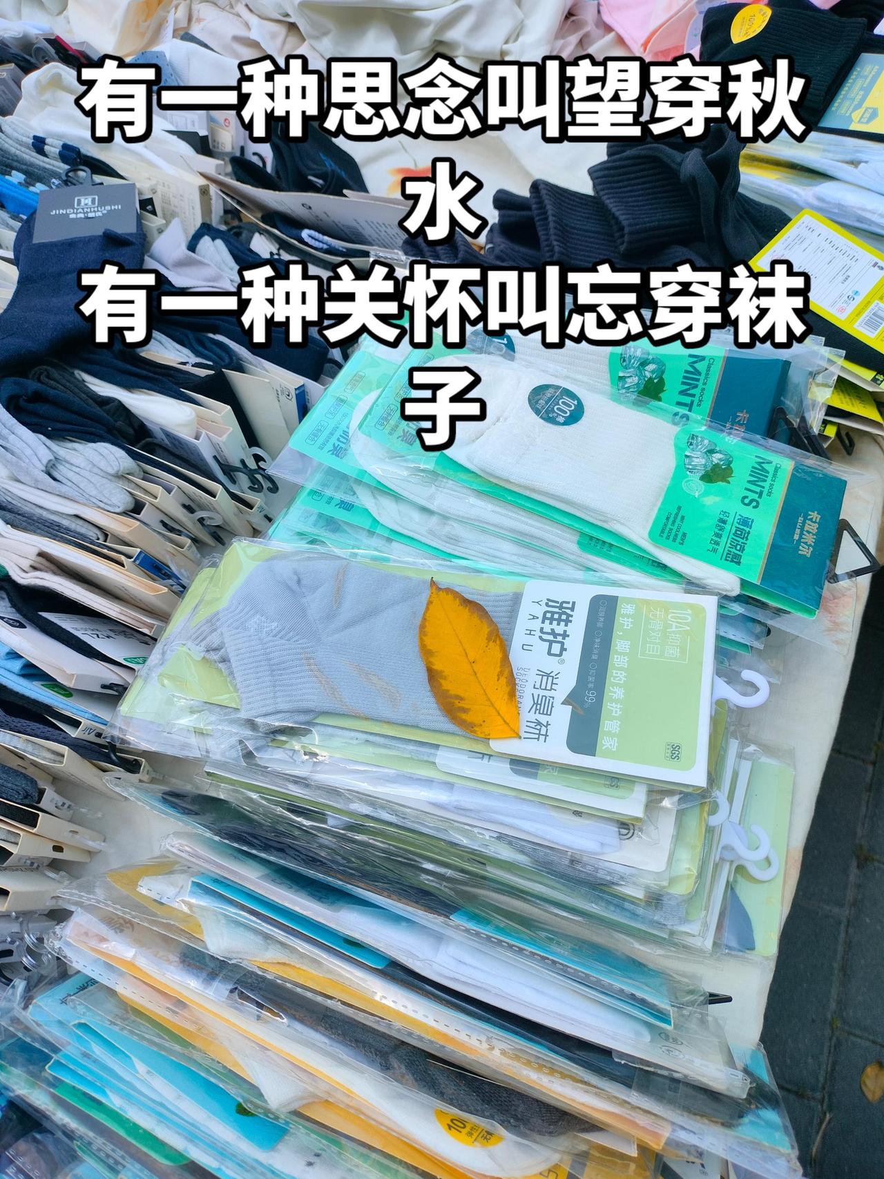 有一种思念叫望穿秋水有一种关怀叫忘穿袜子
  
春天来了，到了韭菜收割的季节，大