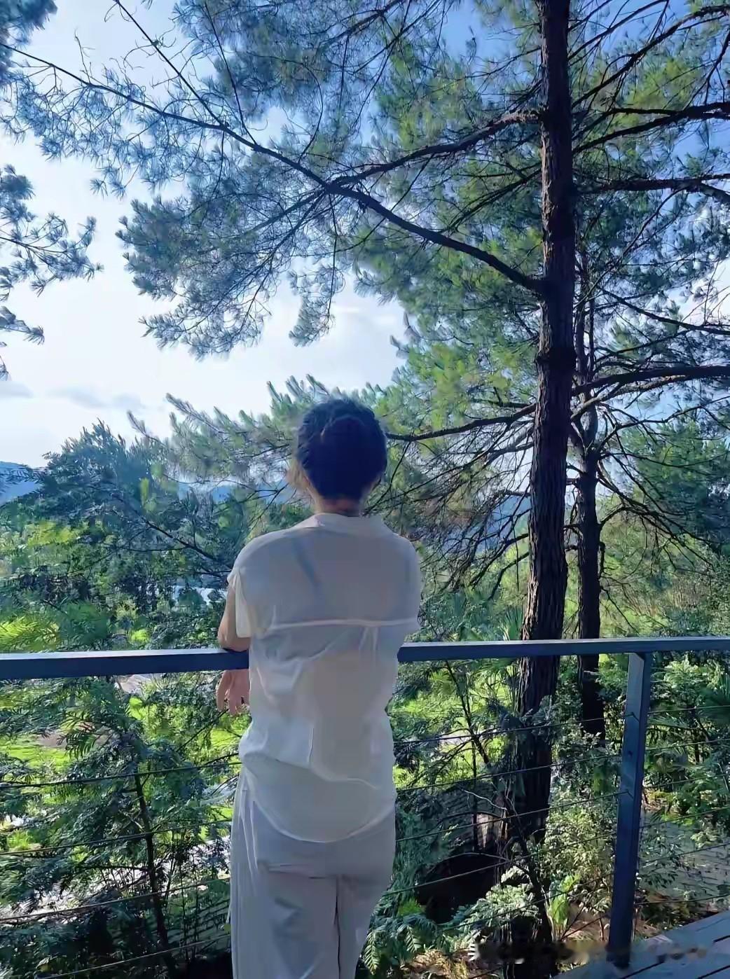 立秋了，处暑了，天气转凉了，出来爬个野山……✌️✌️