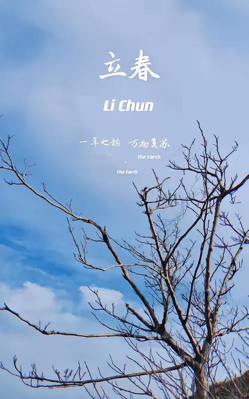 完整榜单
立春的“立”意味着什么？

你是否曾在春天的第一缕阳光下，感受到那份悸