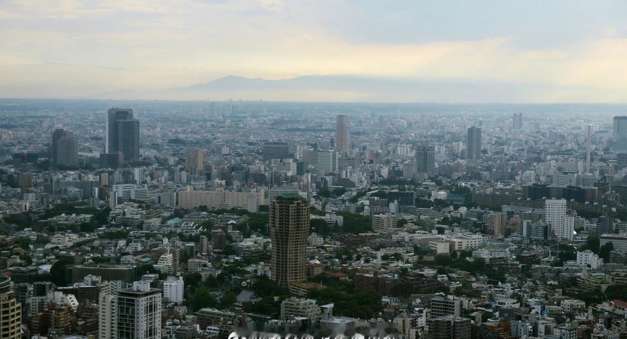 【媒体：日本迫于美国压力推迟承认巴勒斯坦国】美国施压日本不许承认巴勒斯坦国 据日