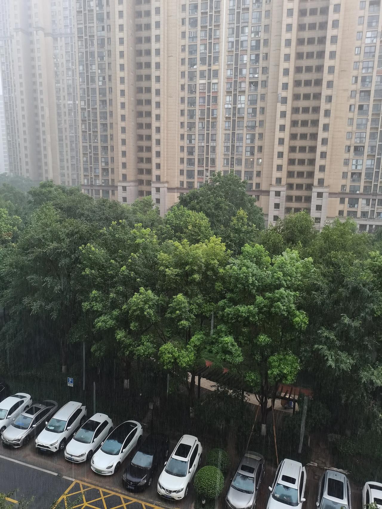 昨天我在厨房刷碗，
小老板拿来他的奶瓶说：

阿姨刷刷奶瓶。
 哈哈哈，太可爱了