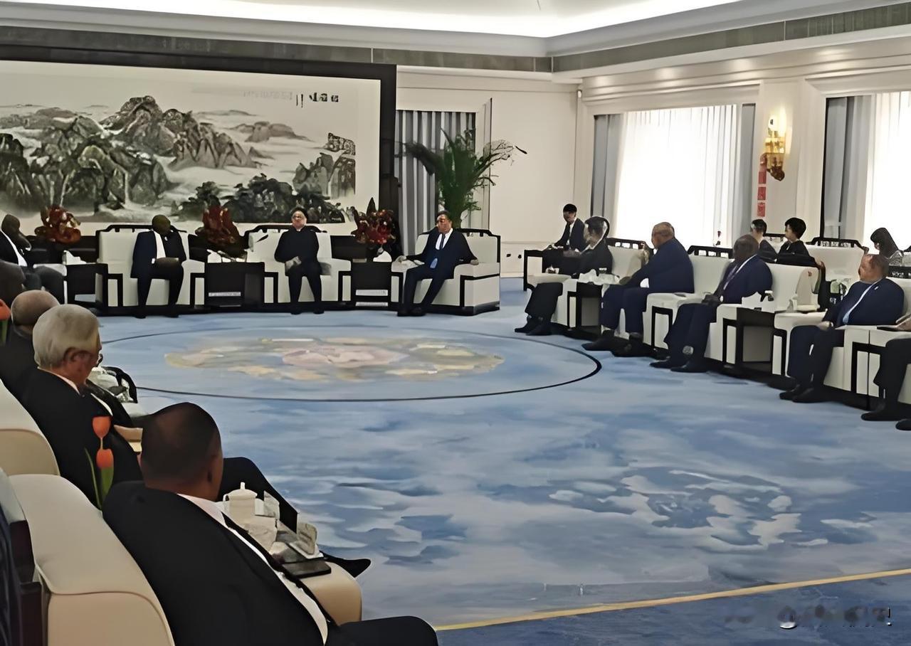 国际舞台传来重磅信号，非洲联盟以公开姿态为中非合作发声，让世界看到南南合作的强大