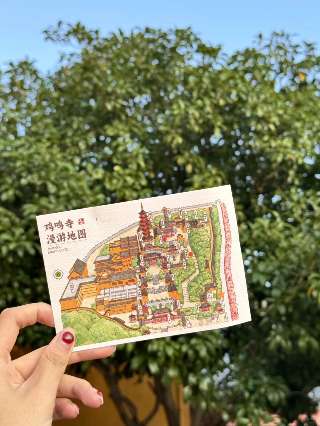 总要来趟鸡鸣寺吧 太爱这种治愈力了！