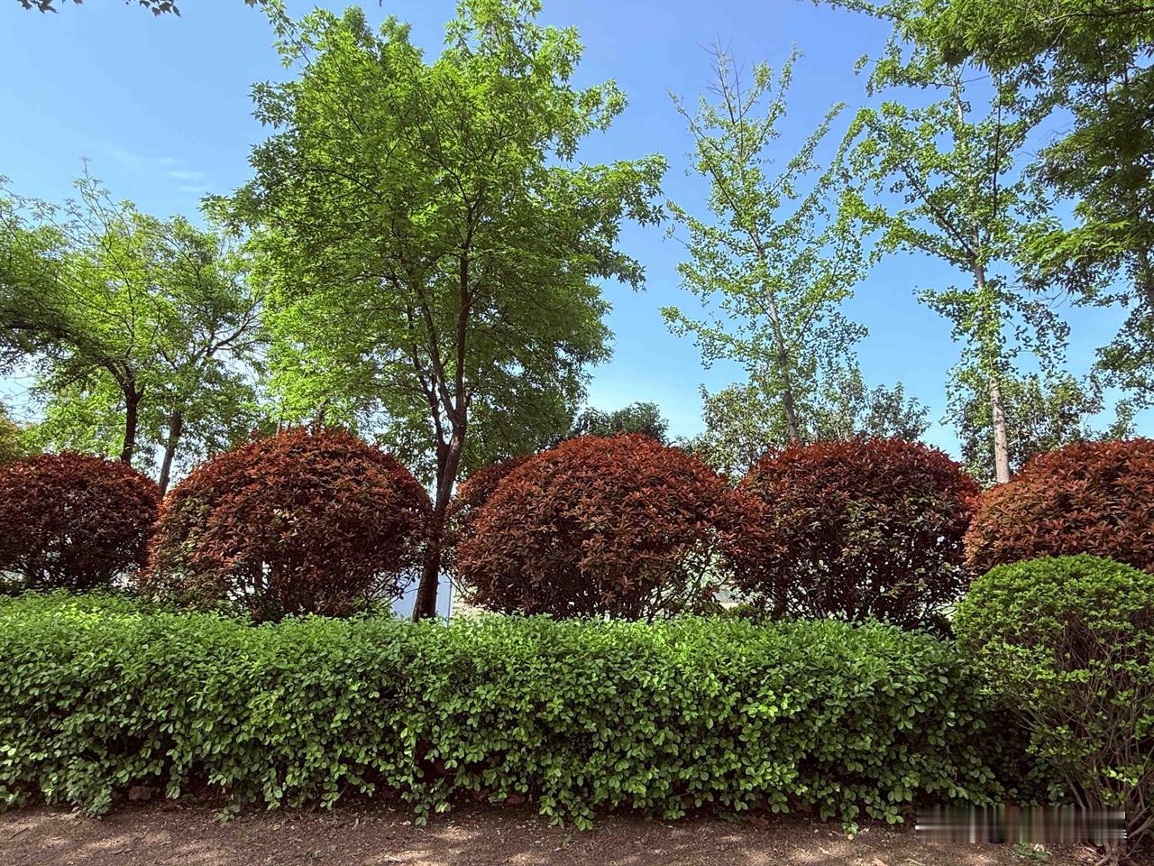 【小对联】
上：春景；
下：……？