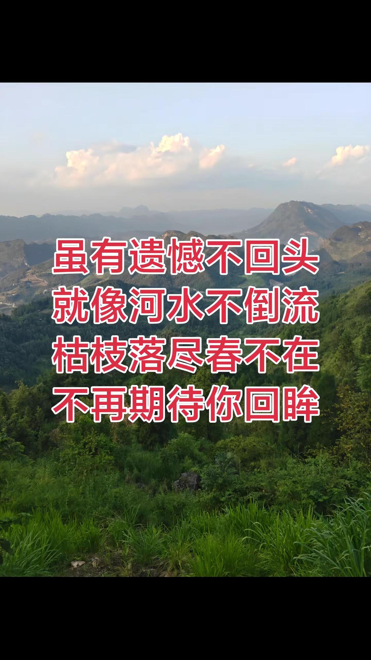 虽有遗憾不回头就像河水不倒流枯枝落尽春不在不再期待你回眸