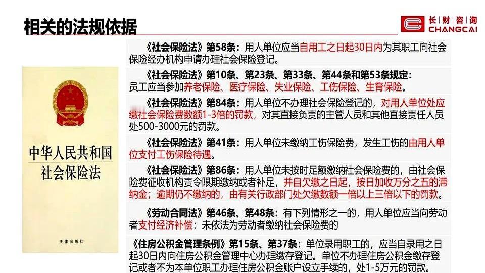 社保局一句话：不补缴就扣税，还要查全部员工。
老板当场愣住，这不是钱的问题，是连