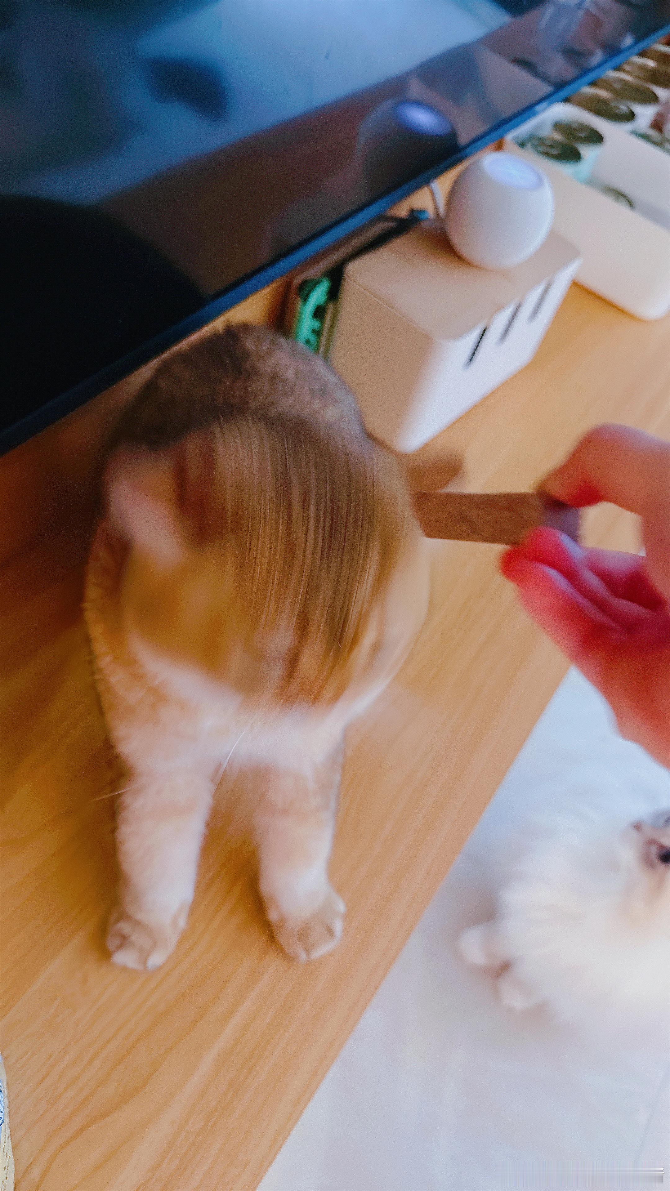澜澜的腿，又长又短的。 ​​​