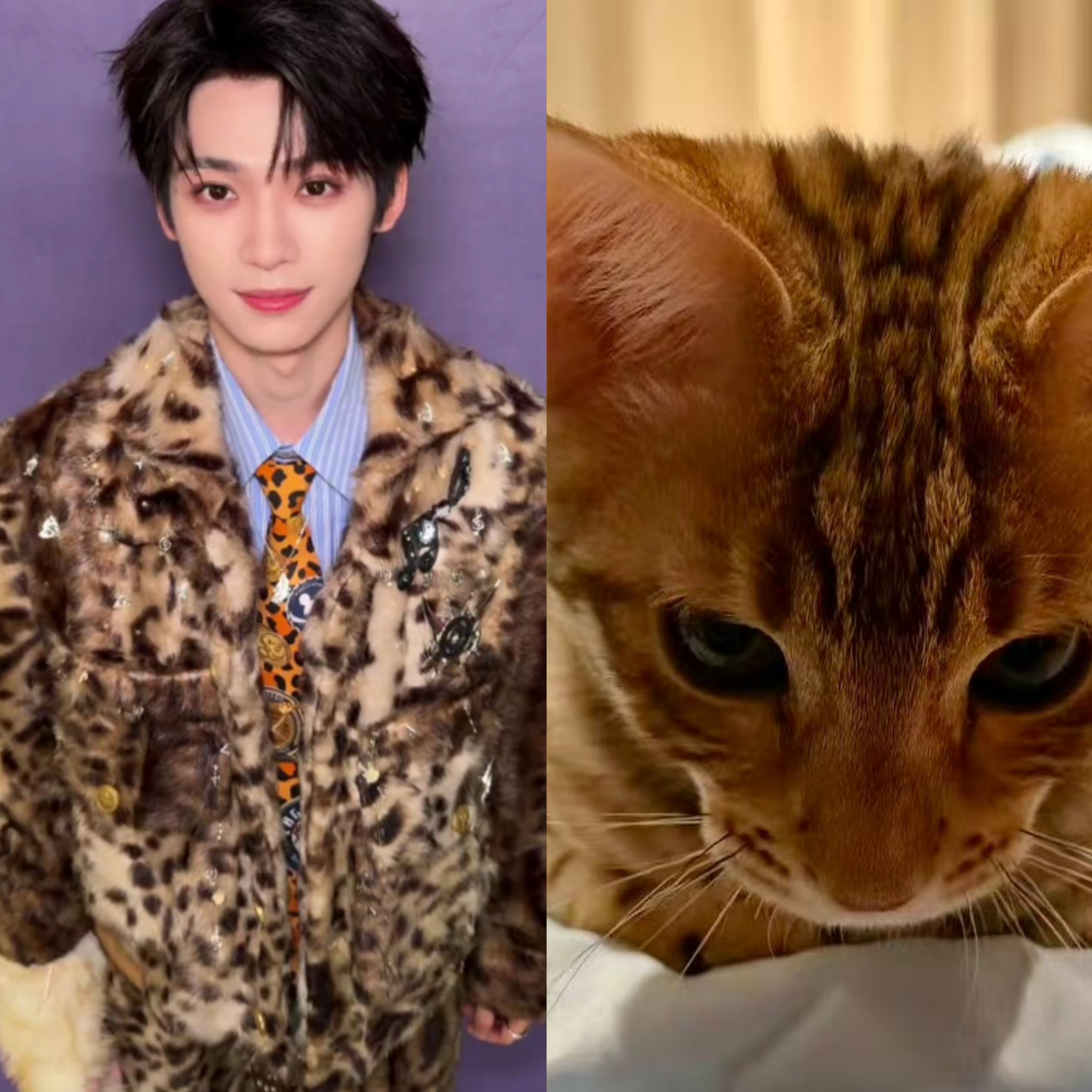 梓渝穿亲子装了梓渝穿与猫的亲子装梓渝和小猫穿亲子装了！！梓渝