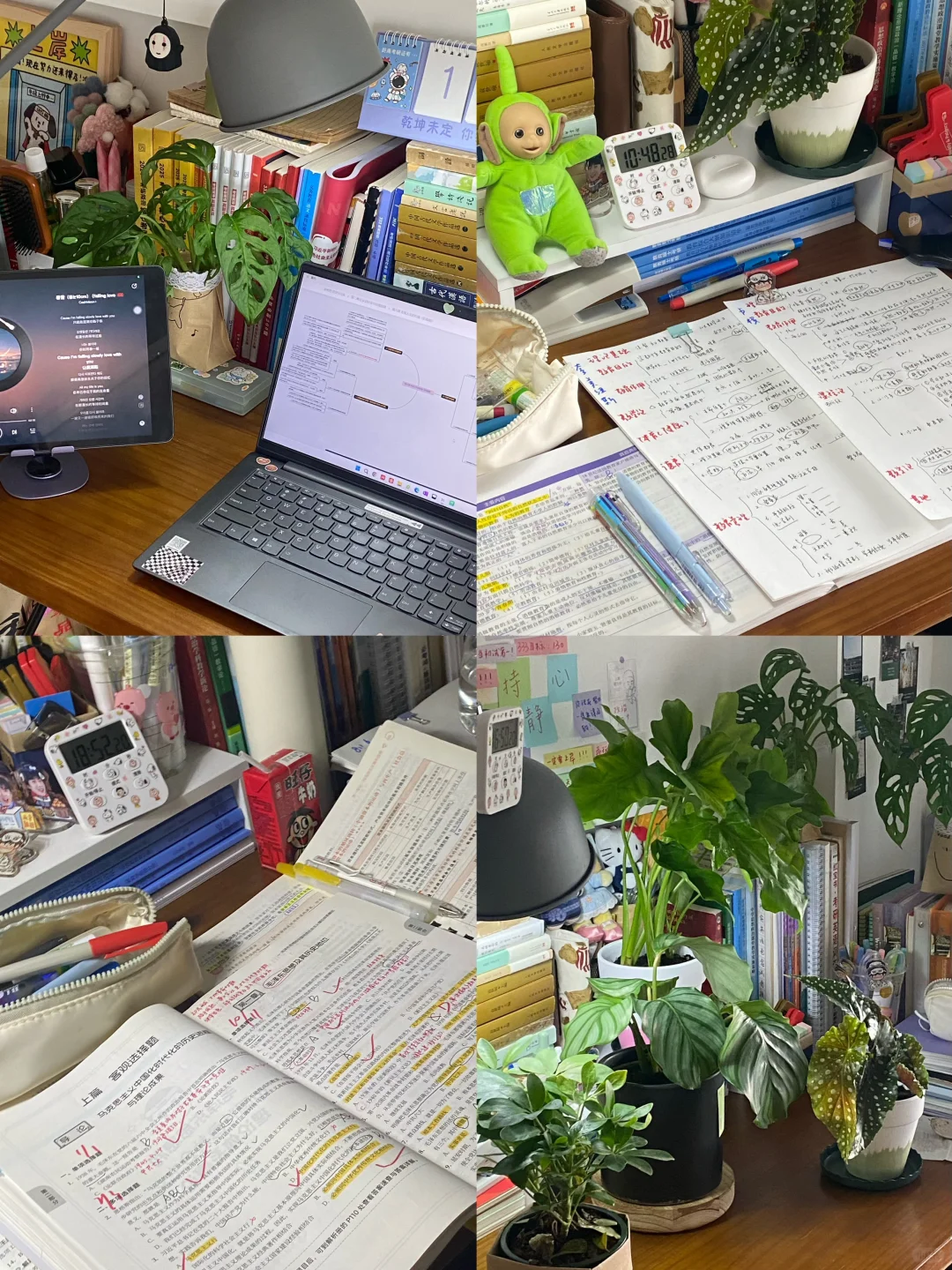 “你的沉淀，终有一天会生根发芽。”