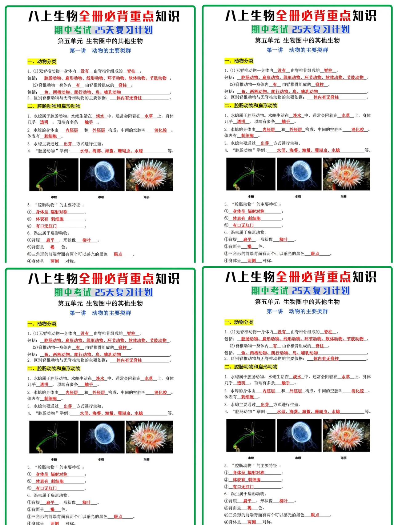 25天期中考试复习，八上生物重点必背知识点。