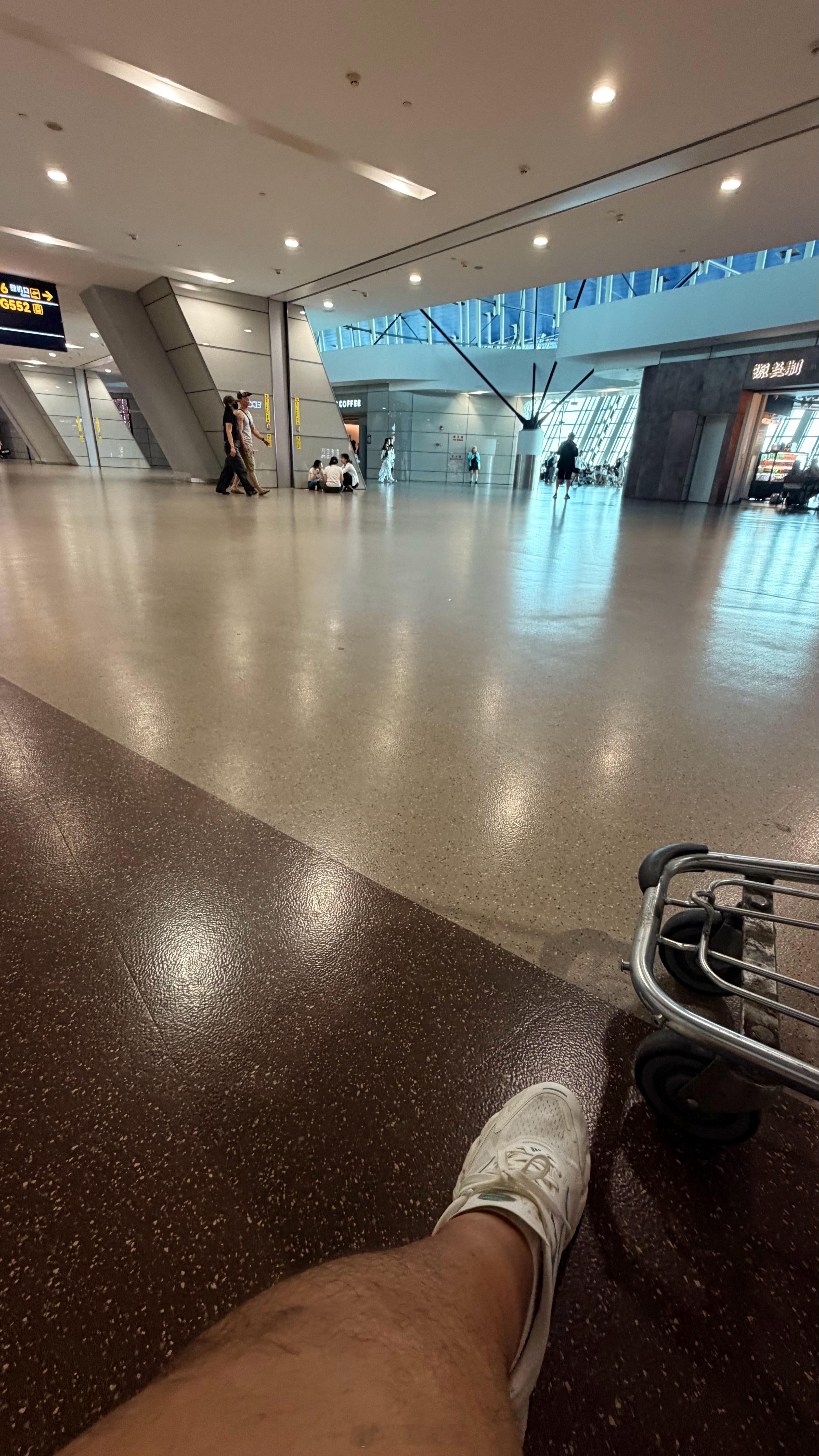 浦东T1真是噩梦，座位都稀缺……这么大的空地不知道干啥用大元日常