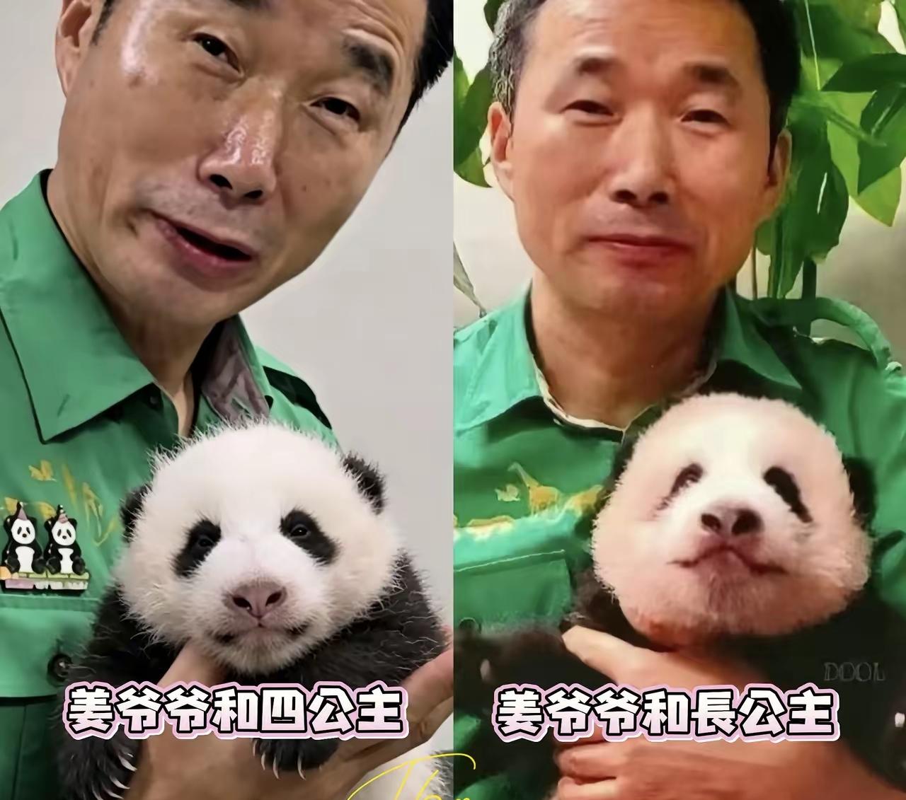 福宝福公主和她的小四妹妹真的太像了
而且她的姜爷爷已经拿出了证据
就是福宝小时候