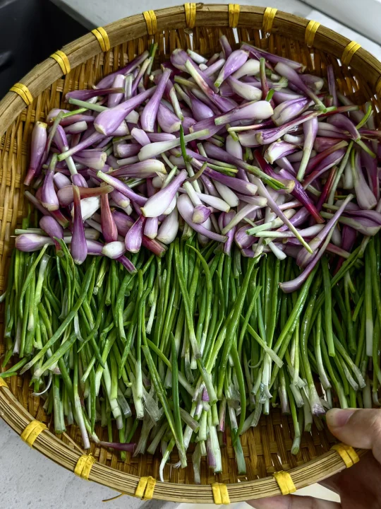 就凭这个粤菜蘸料，白米饭都能干三碗🍚🍚