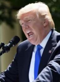 全世界都要感谢特朗普，不是因为他给全世界带来了灾难，而是因为他用自己的愚蠢撕下了