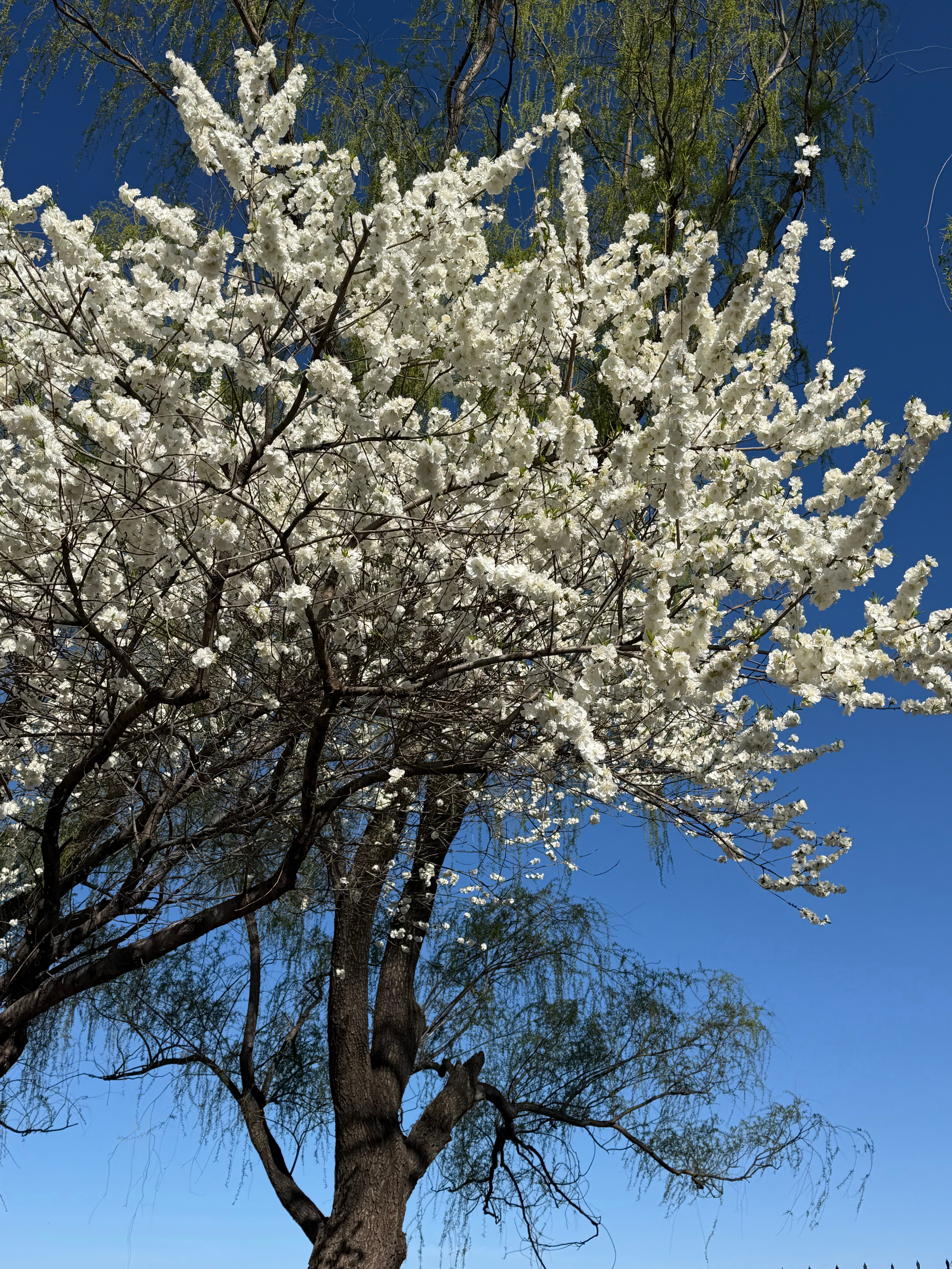 真的是去哪里玩都很累我们低能量p人就是这样 