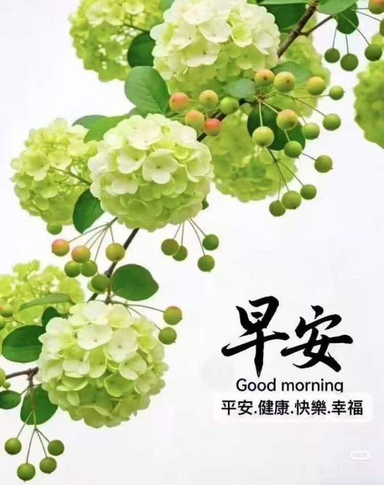 早上好，今天是10月6日星期二。
看到(图二)这张照片有种心安的感觉。照片拍摄于