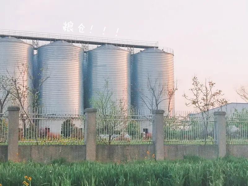 这并非市场失灵，而是一次理性的、结构性的集体转向

一、经济账的“倒挂”：从“以