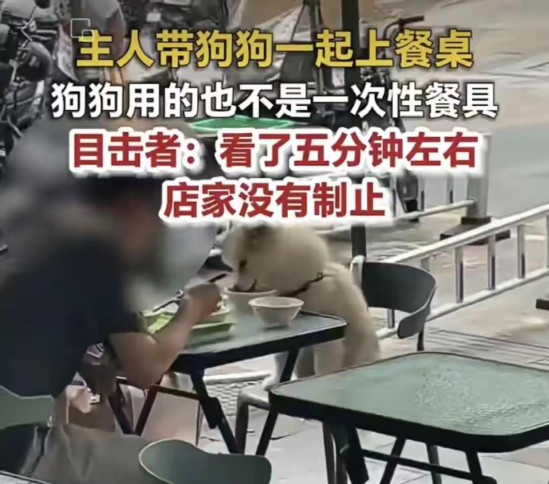 和狗共情并不代表文明，
需要养狗群体合法养狗，
无良媒体不要人狗不分，才是真正文